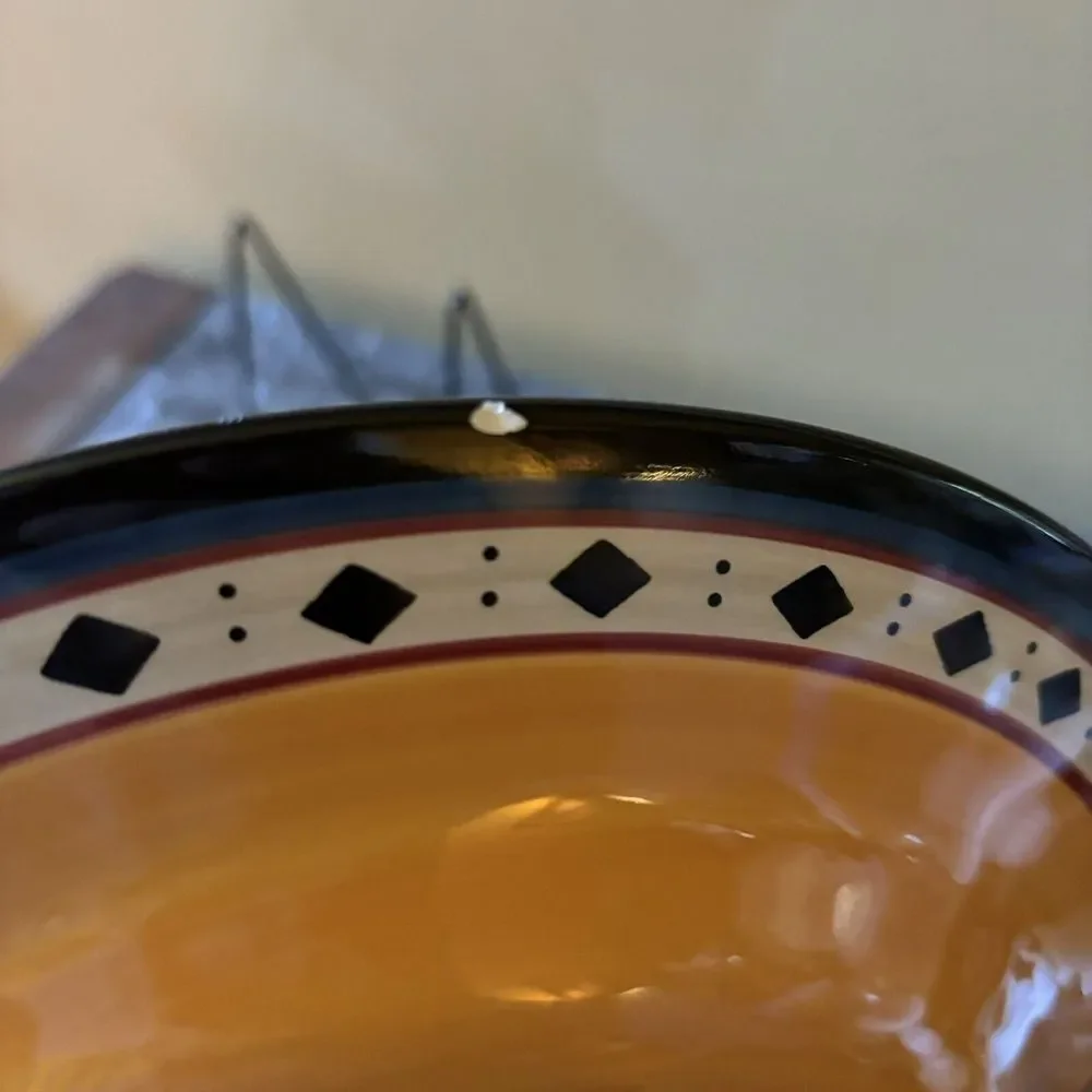 Pier 1 Dinner Plates 